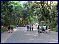 Meji Shrine Garden